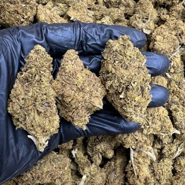 Blue Dream