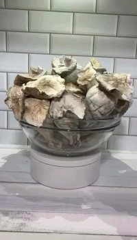 EXOTIC APE SHROOMS