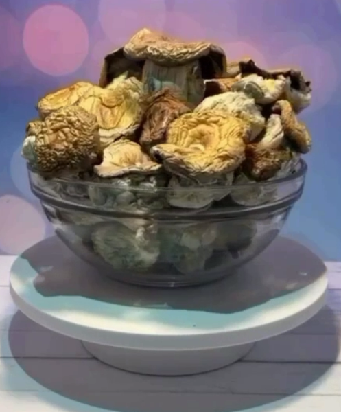 EXOTIC SQUAT MAK SHROOMS