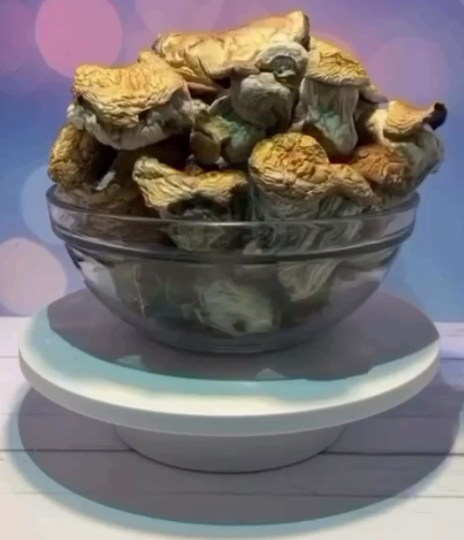 EXOTIC SQUAT MAK SHROOMS