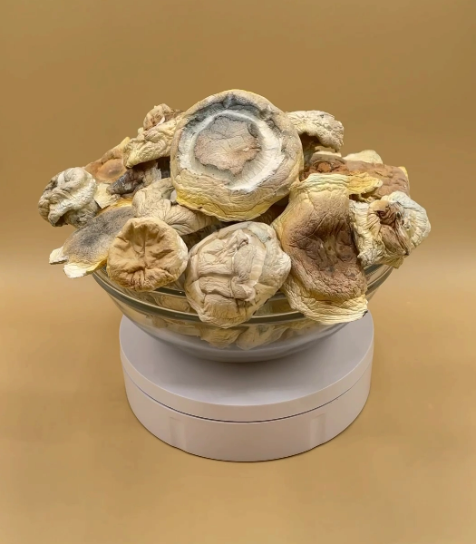 EXOTIC ICEBERG SHROOMS